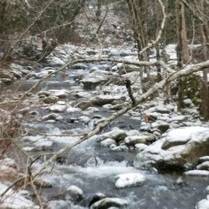 Meet your Posher, Shane